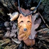 Pieśń Dzikiego Lasu – głowa wilka / Song of the Wild Forest – wolf head